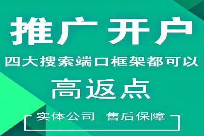 行业报告：专业SEM托管的成功实践与挑战